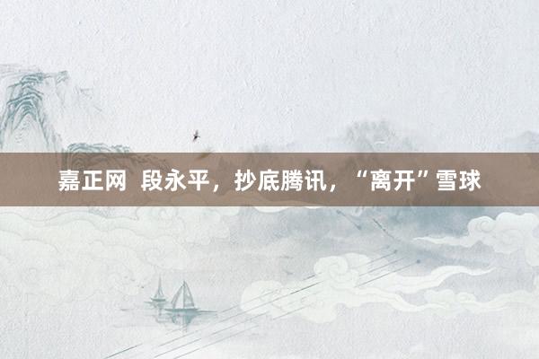 嘉正网  段永平，抄底腾讯，“离开”雪球