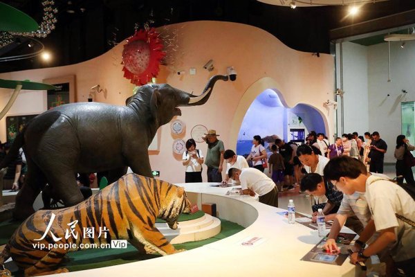 信钰配资 北京：科技馆里过暑假