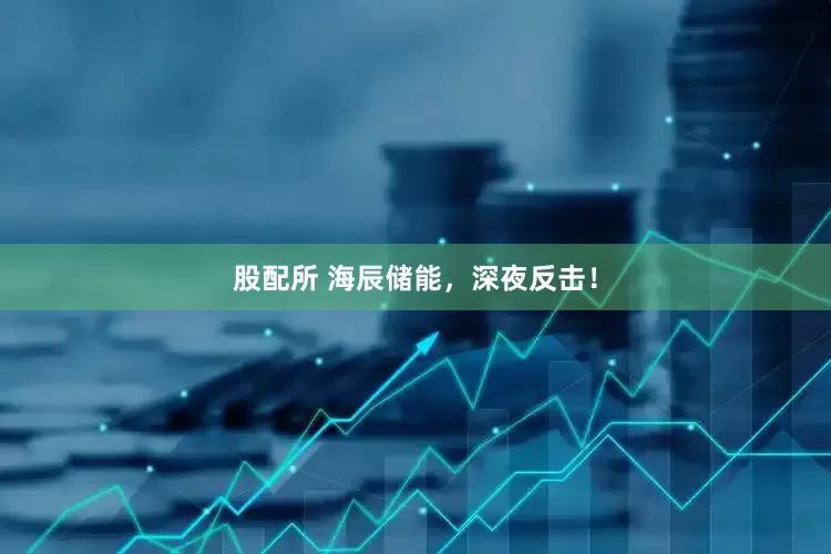 股配所 海辰储能，深夜反击！